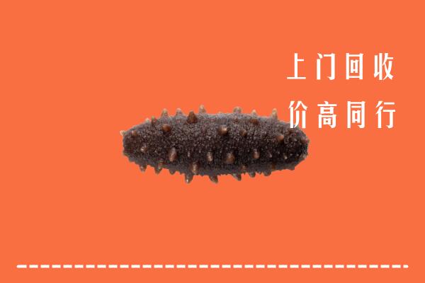 高价求购：象州回收海参